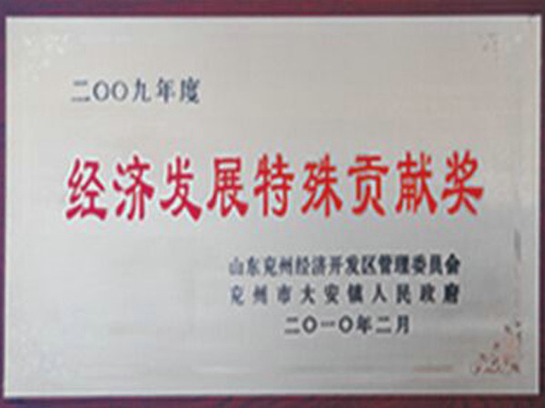 經(jīng)濟(jì)發(fā)展特殊貢獻(xiàn)獎.jpg
